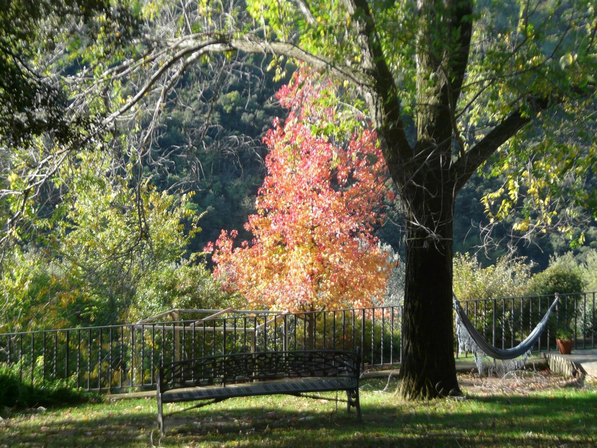 Can Barrina Montseny Bagian luar foto